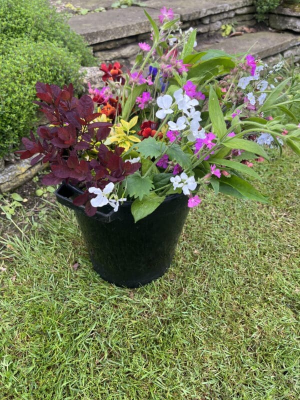 Mixed Flower Buckets (for DIY arranging) - Image 6