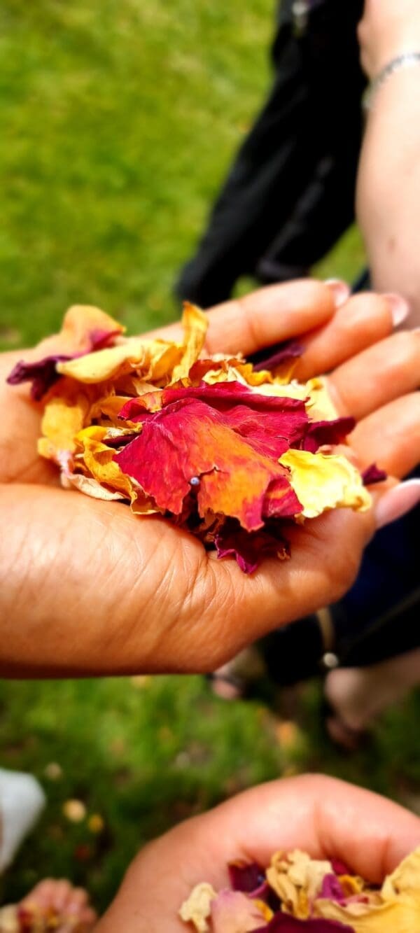 Confetti Bag (40 handfuls) - Image 6