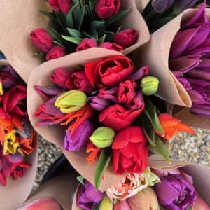 TULIP BUNCH £8