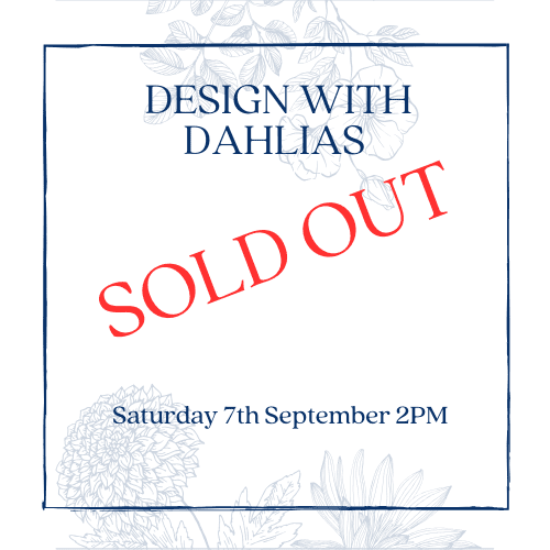 Workshop - Designing with Dahlias 07/09/2024 - 2PM