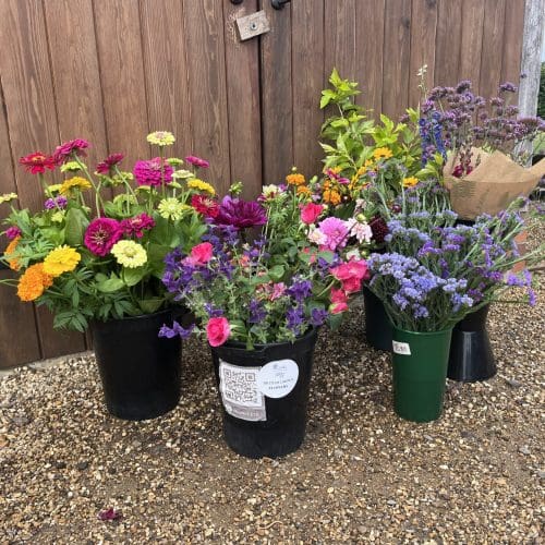 Buckets for wedding flowers 2
