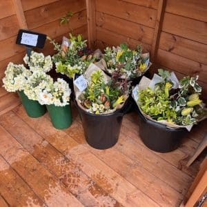 Flower shed bouquets