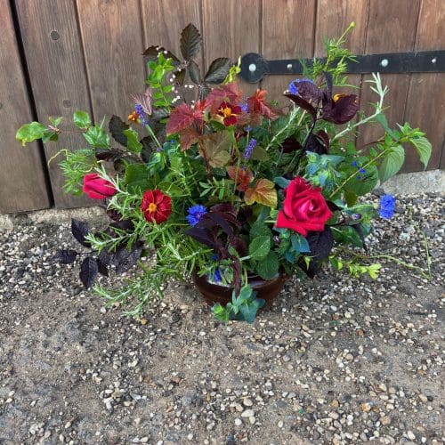 Funeral arrangement in customers pot AUG 23