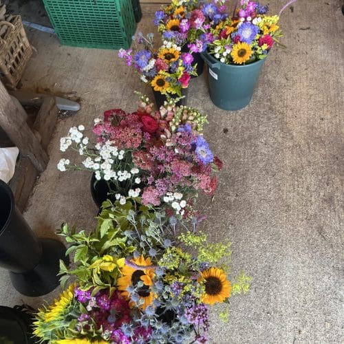 Mixed buckets and bouquets