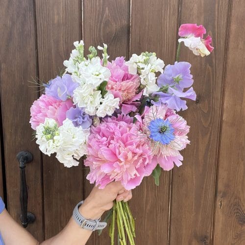 Peonies bouquet