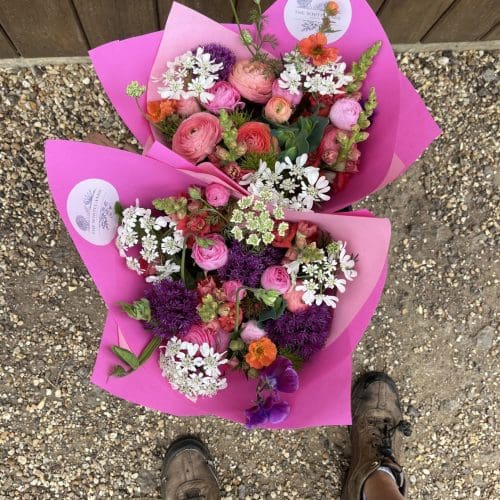 Spring Flowers 2026