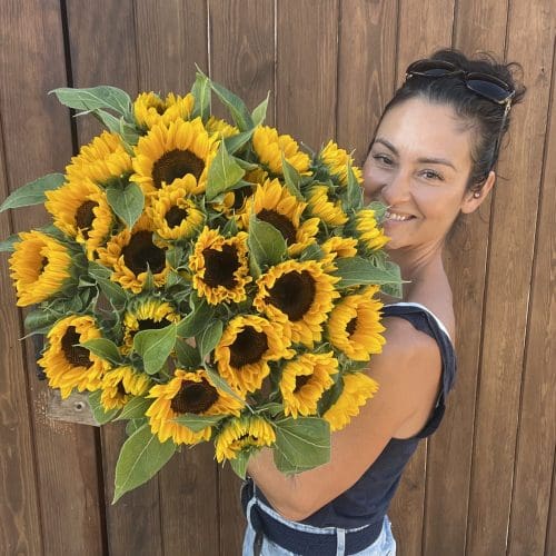 Sunflowers 2