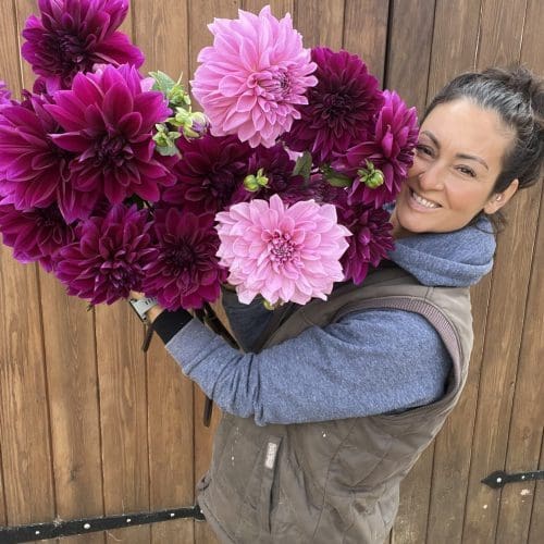 Thomas Edison and L Perfection Dahlias AUG25