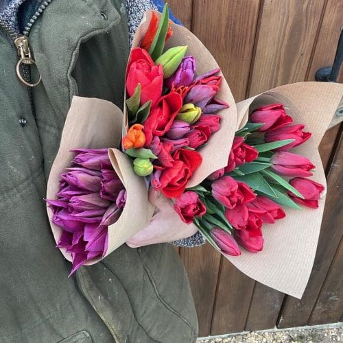 Tulip bouquets APR24